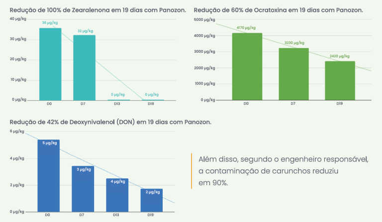 Estudo de caso de ozônio para silos