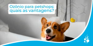 Ozônio para petshops vantagens